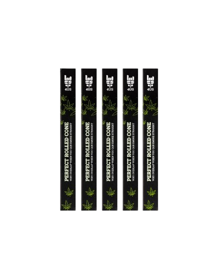 Perfect Rolled Cone ( Pack of 10)